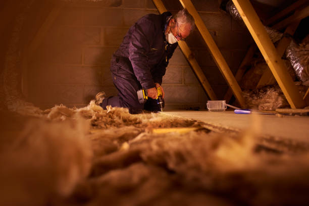 Best Commercial Insulation Services  in Dimmitt, TX